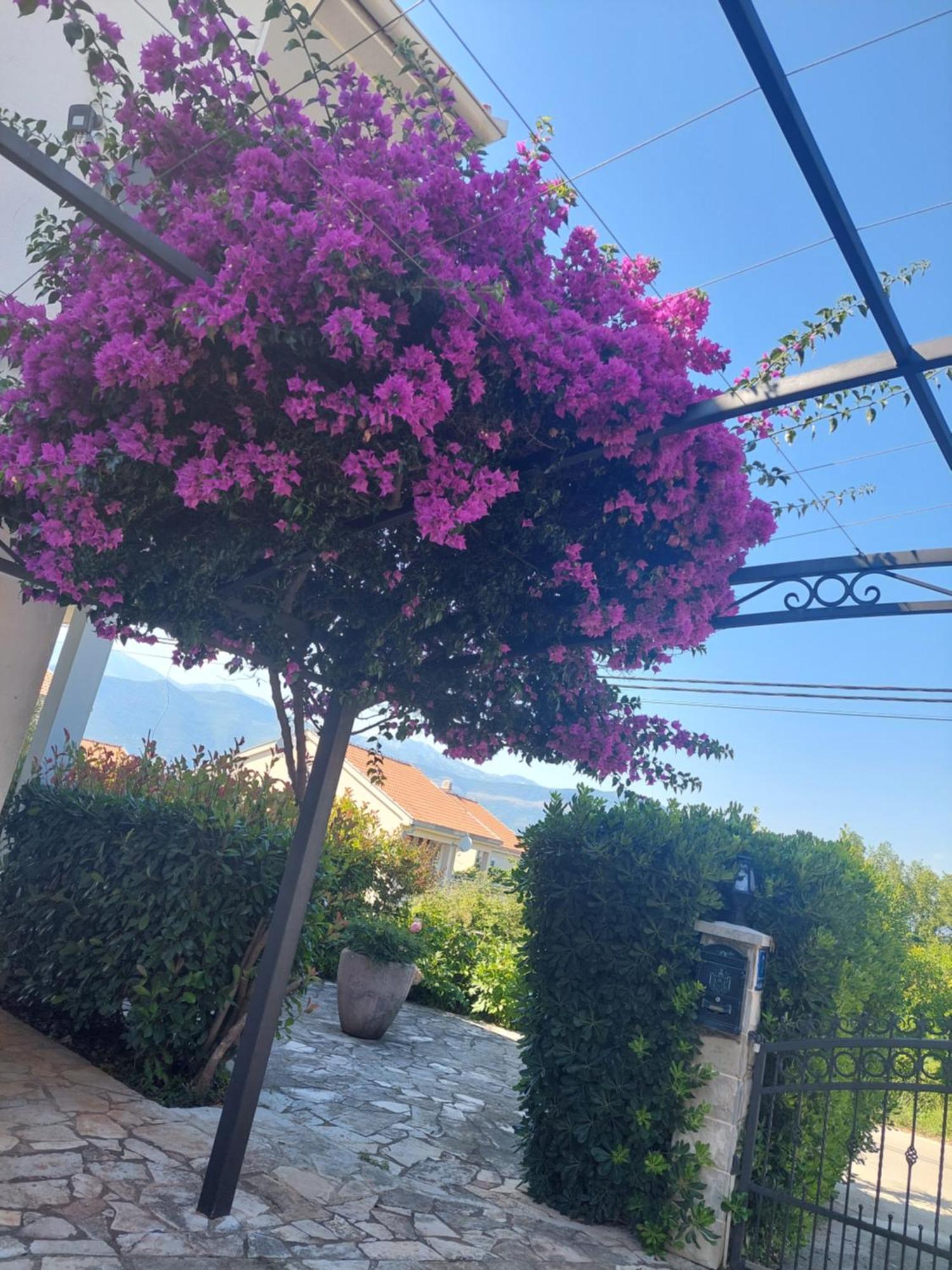 טיווט Kjara Apartments מראה חיצוני תמונה