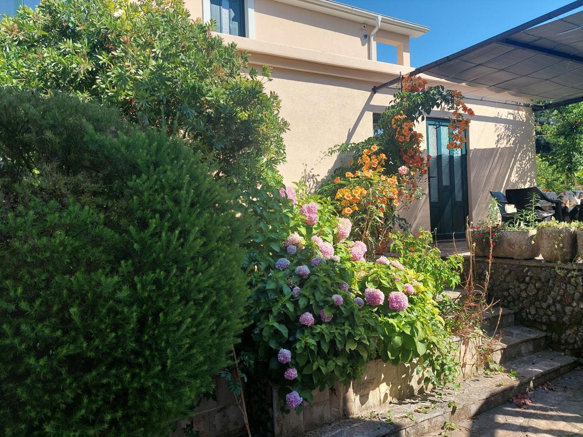 טיווט Kjara Apartments מראה חיצוני תמונה