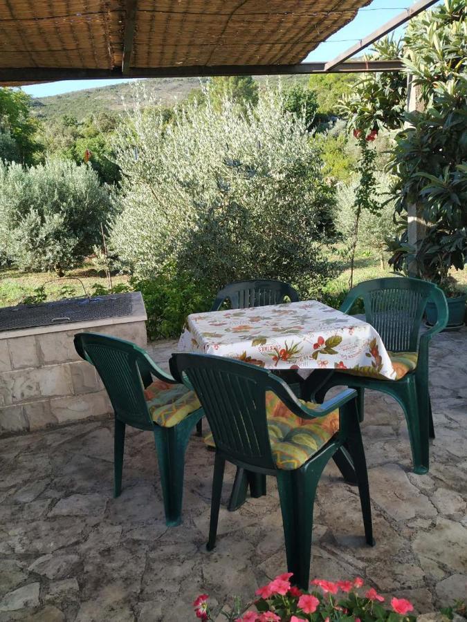טיווט Kjara Apartments מראה חיצוני תמונה