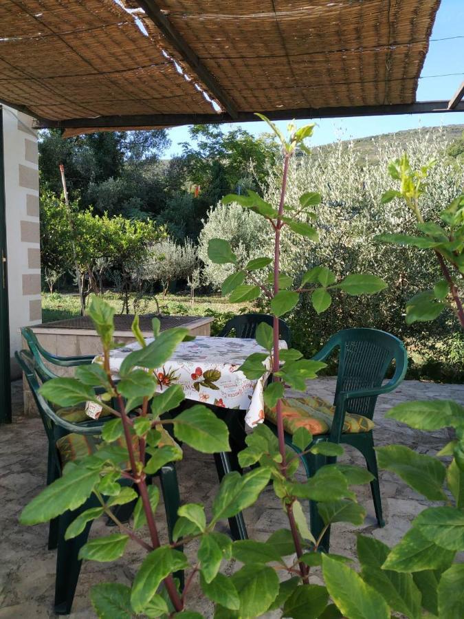 טיווט Kjara Apartments מראה חיצוני תמונה