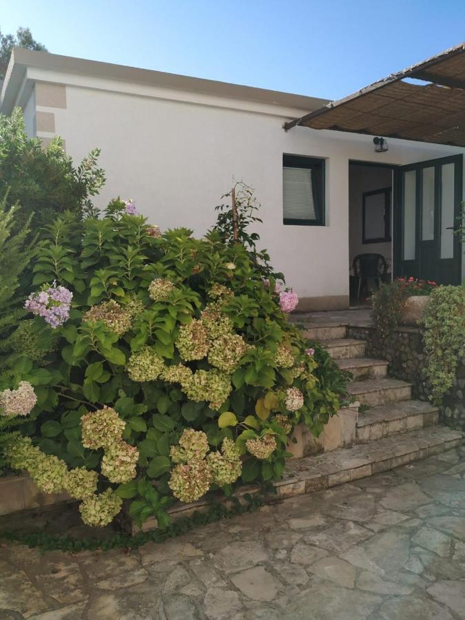 טיווט Kjara Apartments מראה חיצוני תמונה
